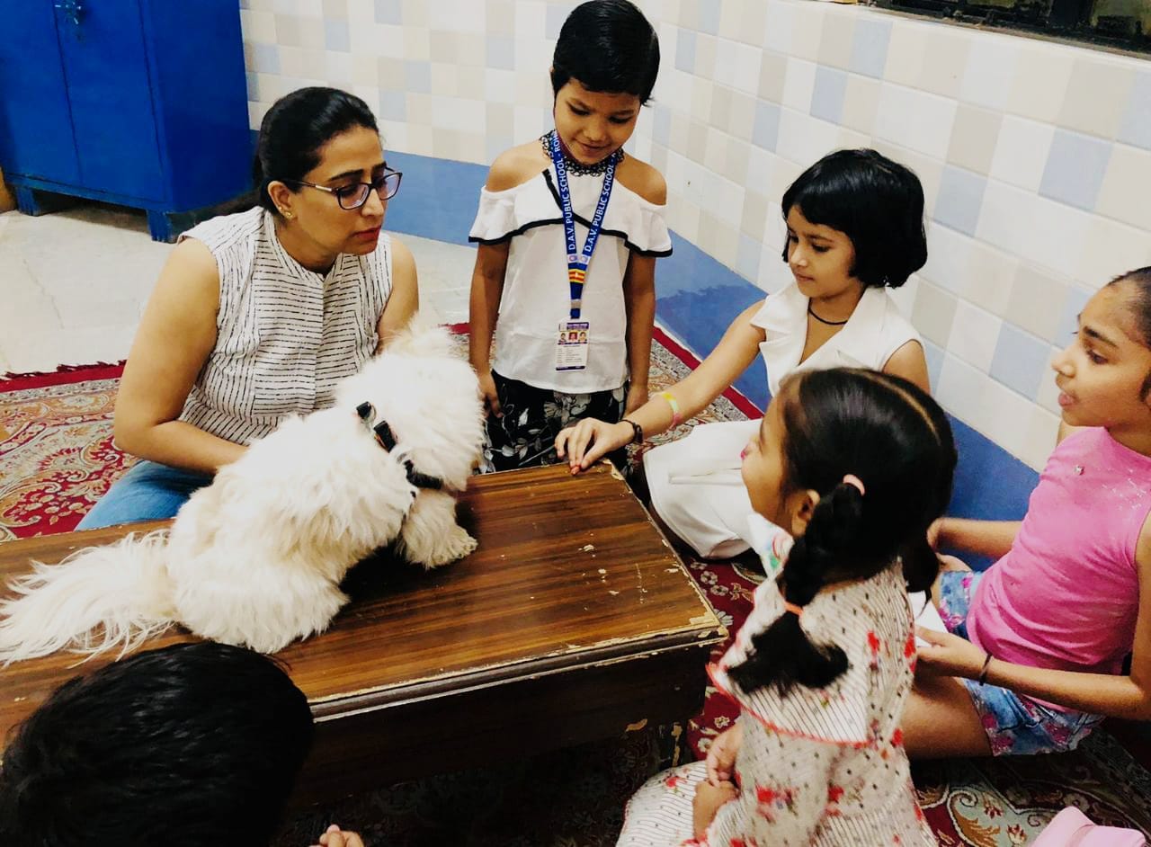 DAV Rohini organized Summer Camp for students of classes I to XII – “Mingle, Maneuver and Manifest to be a master piece.”